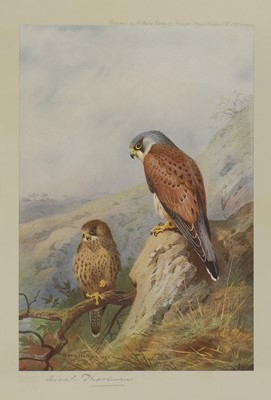Lot 395 - Archibald Thorburn (British, 1860-1935)