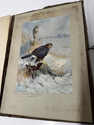 Lot 395 - Archibald Thorburn (British, 1860-1935)