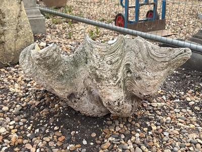 Lot 553 - A composite half clam shell