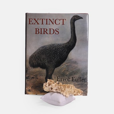 Lot 51 - A synsacrum bone from an extinct New Zealand moa bird