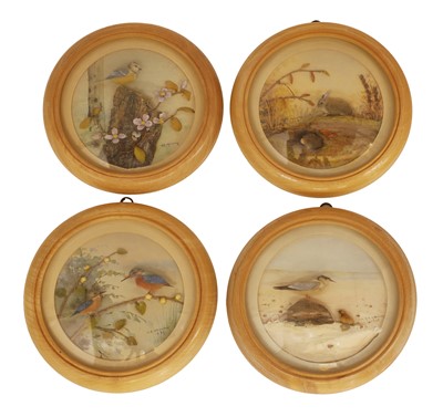 Lot 305 - H. E. Tim Hervey R.M.S.