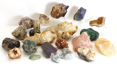 Lot 311 - A collection of semi precious stone and petrified wood fragments