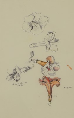Lot 197 - John Nash RA (British, 1893-1977)