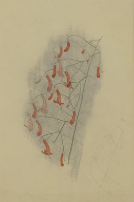 Lot 196 - John Nash RA (British, 1893-1977)