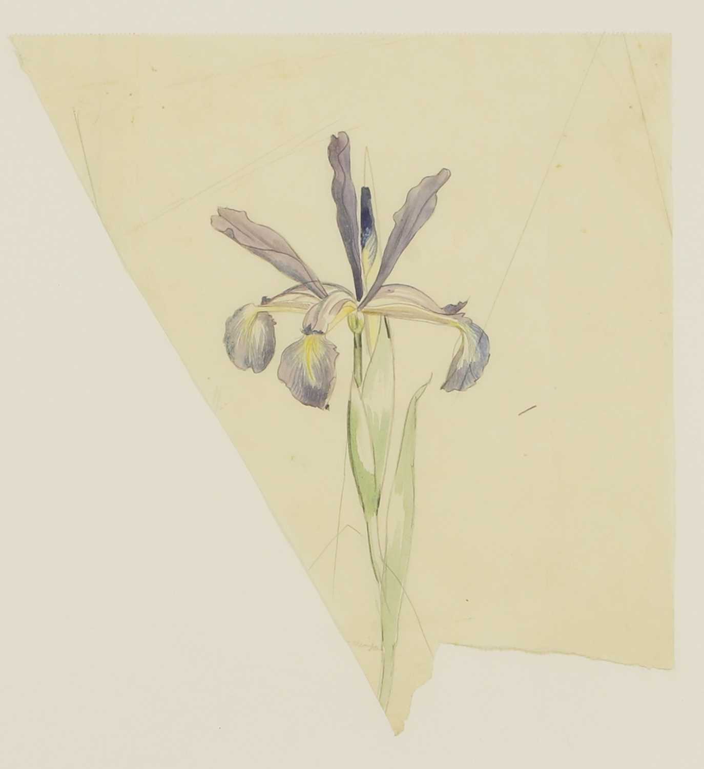 Lot 195 - John Nash RA (British, 1893-1977)